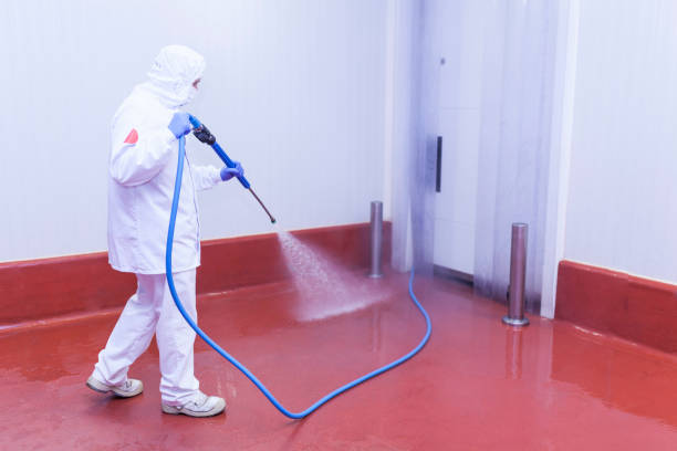 Best Sidewalk and Walkway Cleaning  in Hamburg, NJ