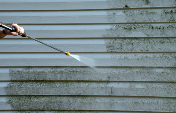 Best Roof Washing  in Hamburg, NJ